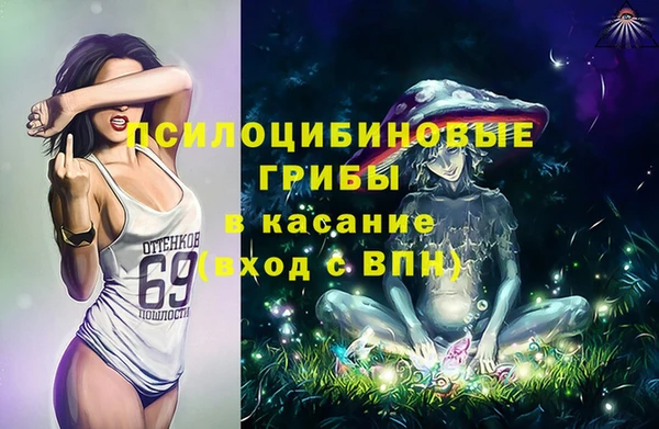 меф Майский