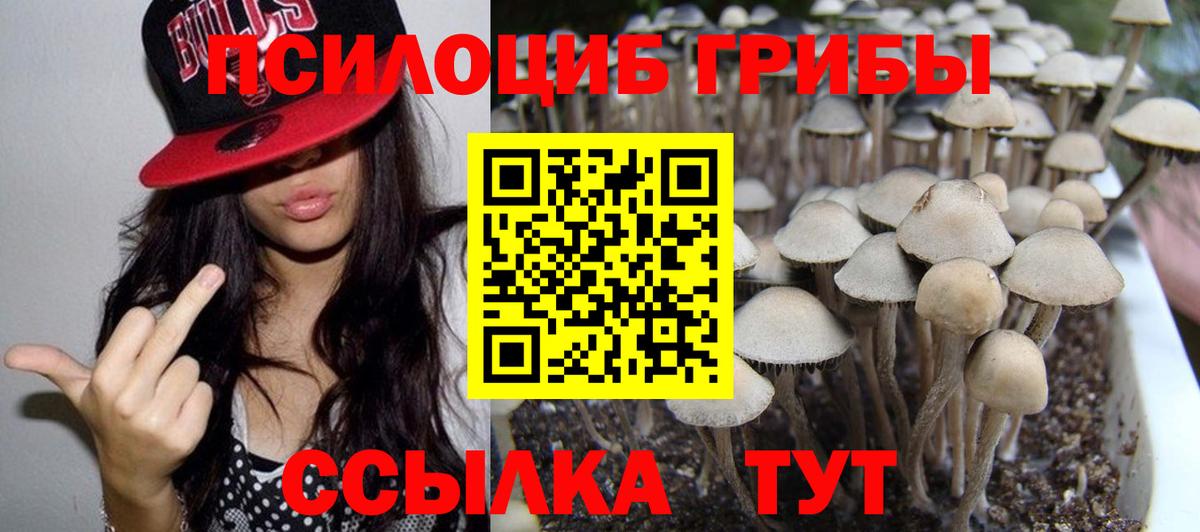 Псилоцибиновые грибы Cubensis  Вход с VPN  Тамбов  Галлюциногенные грибы ЛСД 
