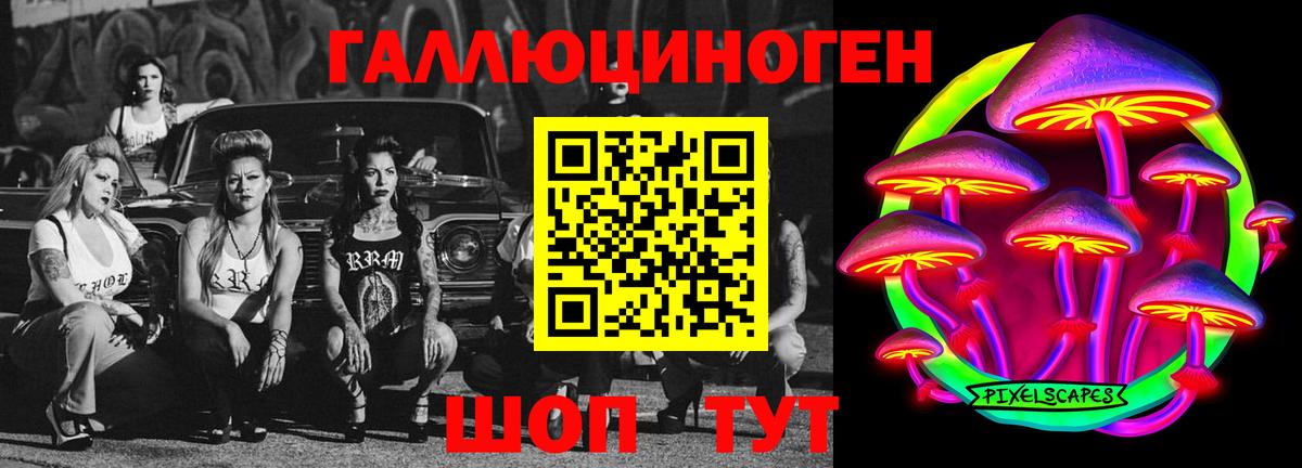 Псилоцибиновые грибы Psilocybe Тамбов