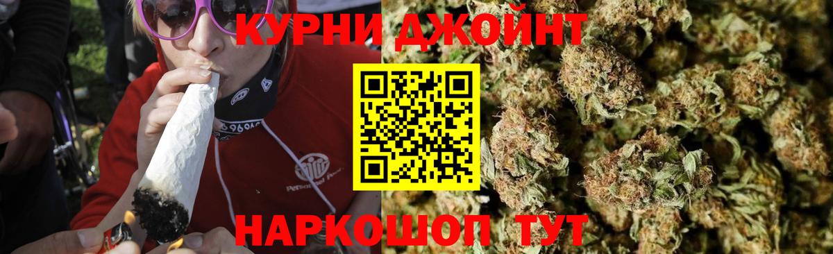 Каннабис сатива  Канабис ГИДРОПОН  Конопля план  Тамбов  Вход с VPN 